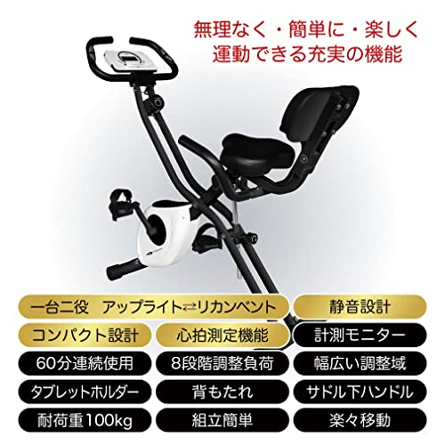 ティゴラ リカンベントバイク