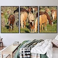 3 Piece Framed Canvas Wall Art Horsing Around Animals Farmhouse/Country Fun Horse Living Room - 16