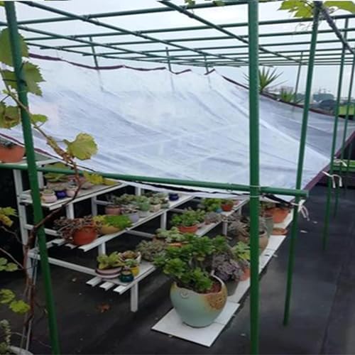 Bâche transparente imperméable de jardin coupe-vent 2.4x3.6m - 3