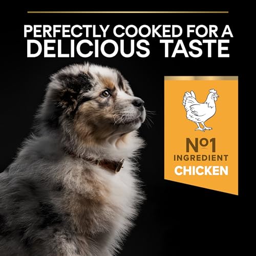 Pro Plan Medium Puppy Healthy Start, Welpenfutter trocken, reich an Huhn, 1er Pack (1 x 12 kg)