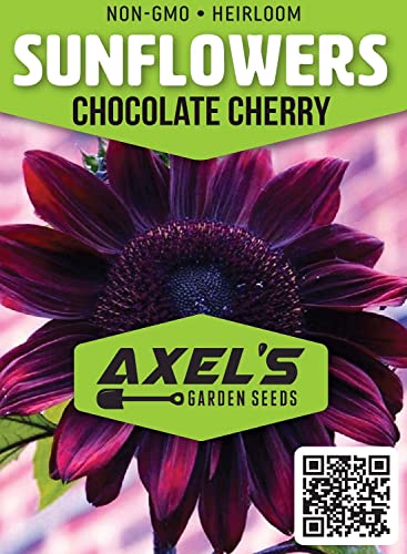 Sunflower Seeds For Planting - Grow Purple Chocolate Cherry Sun Flowers In Your Garden - 25 Non Gmo Heirloom Seeds - Full Planting Instructions For Easy To Grow - Great Gardening Gifts (1 Packet) #TOP1