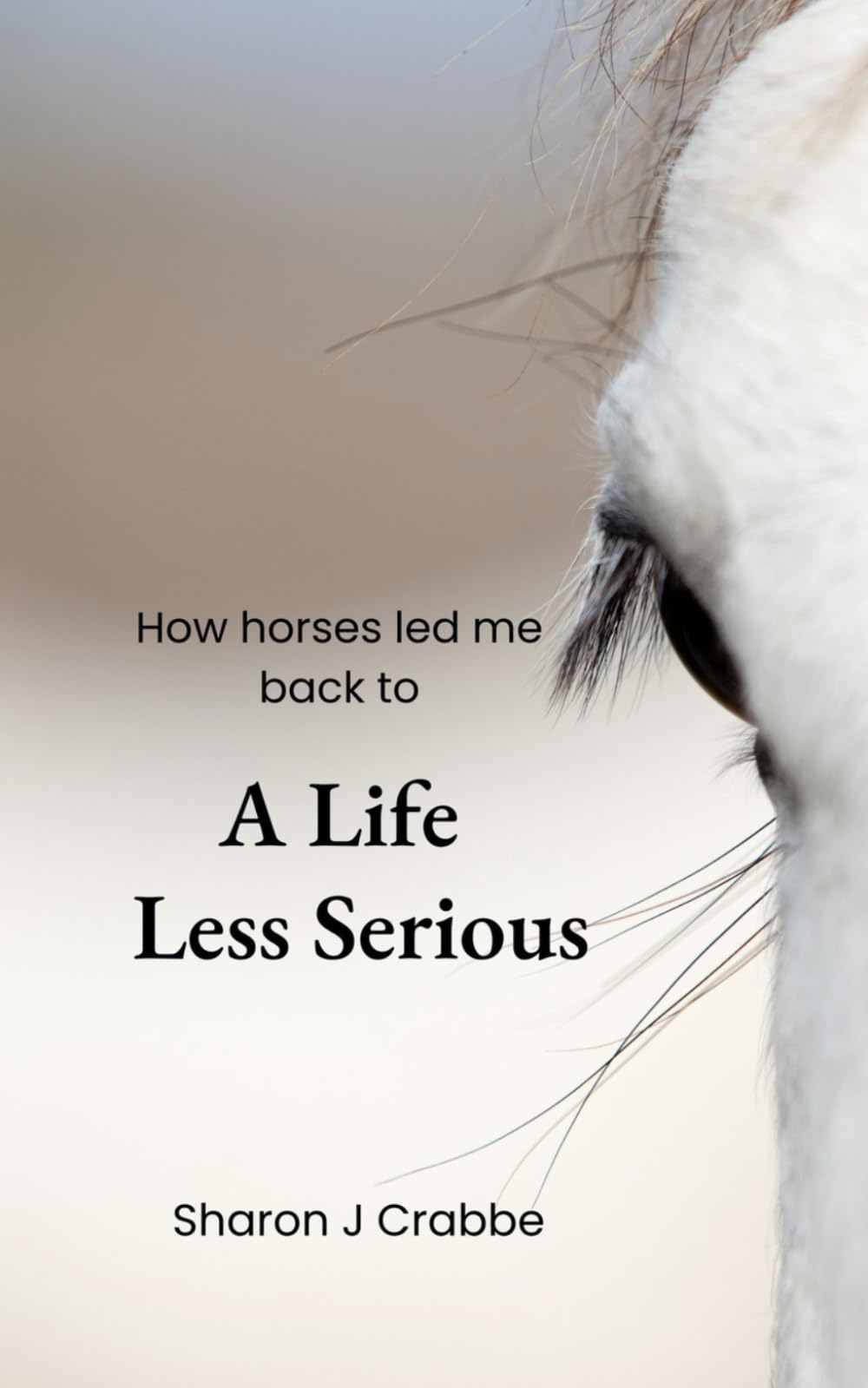 How horses led me back to A Life Less Serious