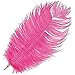 Artemio Plume d'Avestruz-Fuchsia Rose 30-35 cm