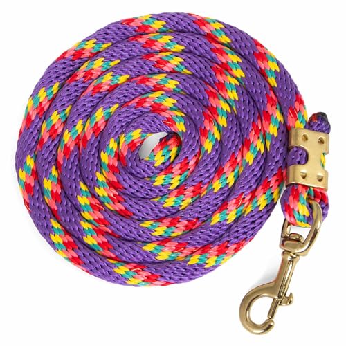 Jeffers Equine Nylon Horse Lead Rope, 5/8
