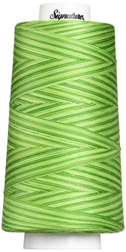 Signature Thread Machine Quilting Thread, 3000 yd, Variegated Spring Grass