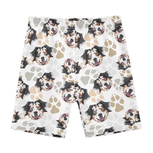 Girls' Shorts Soft Summer Soft Boxers Short Australian Shepherd Dog Leggings Dance Bottoms