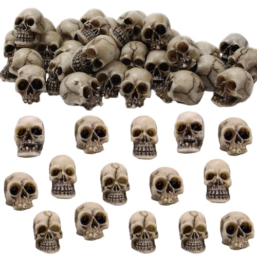 ~jXJ 20Zbg nEB  ~j`A XJ  XPgwbh I[ig [ u W fR[V ~ ԕrtB[ e[u z[ o[ i Aؔ  p[eB[pi ͋C nEBObY