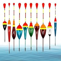 Yuwnd Posen Angeln Set - 10 Stück Hochwertige Angelposen für Forellen und Friedfische, Komplettes Angel Posen Set, wasserdichte Schwimmer Angeln mit Edelstahlösen, Ideal für Seen & Flüsse