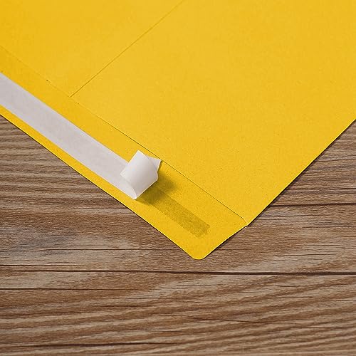 Tanshuqin Envelopes amarelos de catálogo autoselados de 23 cm x 32 cm para cartões de convite, organ