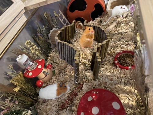 Image of SIMENA Wooden Hamster Suspension Bridge Toy, Hamster Fencing, Natural Climbing Ladder for Dwarf Hamsters, Syrian Hamsters, Mice, Gerbils & Small Pets (Natural, 19.7 inch)