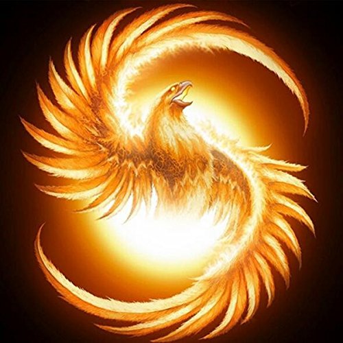 ZHENC 5D DIY Phoenix Nirvana Square Diamond Painting Drawing Crafts Flaming Phenix Embroidery Needlework Full Drill Craft Decor Cross Stitch Kits