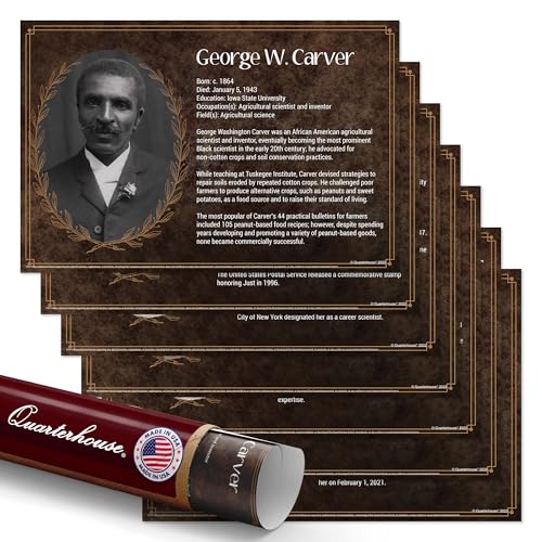 Affiches d'inventeurs noirs STEM Quarterhouse pour décor de classe d'histoire
