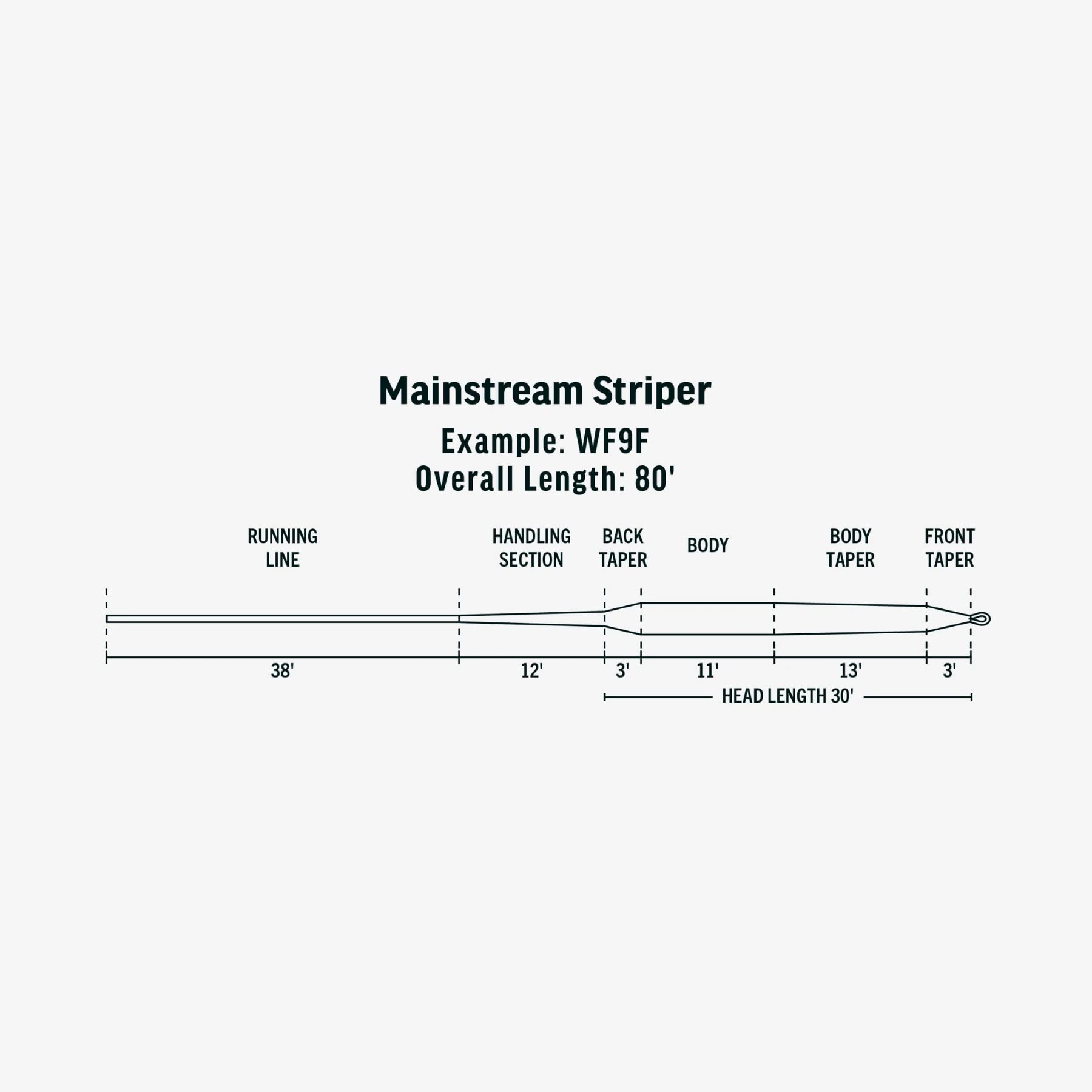 RIO Products Mainstream Striper, Fly Fishing Line for Striped Bass Cold Water Series, WF9I, Transparent - Image 3