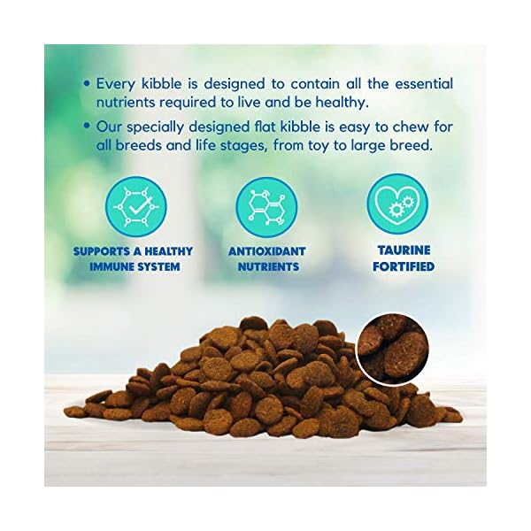 Lucy Pet Formulas for Life Salmon, Pumpkin, & Quinoa Dry Dog Food, All
