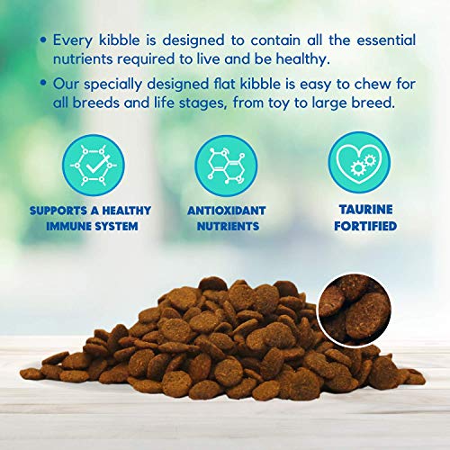 Lucy Pet Formulas for Life Salmon, Pumpkin, & Quinoa Dry Dog Food, All Breeds & Life Stages, Digestive Health, Sensitive… - Image 4