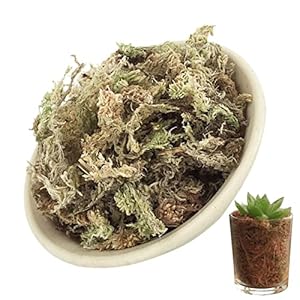 Eubeisaqi 1 Mech Torfowy Aktywator Gleby