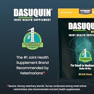 Nutramax Laboratories Dasuquin with MSM Joint Health Supplement for Small to Medium Dogs - With Glucosamine, MSM, Chondroitin, ASU, Boswellia Serrata Extract, and Green Tea Extract, 84 Soft Chews Nutramax Laboratories Dasuquin with MSM Joint Health Supplement for Small to Medium Dogs With Glucosamine MSM Chondroitin ASU Boswellia Serrata Extract and Green Tea Extract 84 Soft Chews