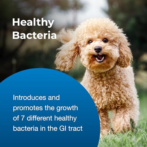 Image of PetAg Bene-Bac Plus Pet Gel - 15 g Syringe, Pack of 3 - FOS & Probiotics for Dogs, Cats, Exotic & Wildlife Mammals