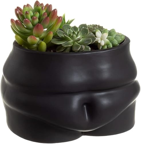 Misijuer Macetas corporales maceta de cerámica con agujero de draniage para plantas de interiorexterior, maceta para decoración del hogar, maceta