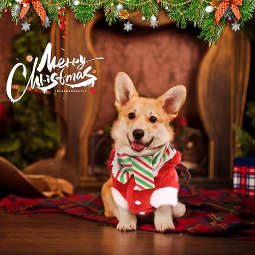 Rot Hundekostüm Weihnachten Elchkostüm - Haustier Weihnachtskostüm Mit Schal,Winter eihnachtskostüm Hund Hundemantel für Katzen Hunde Welpen Weihnachten Kostüm Hund Geschenk