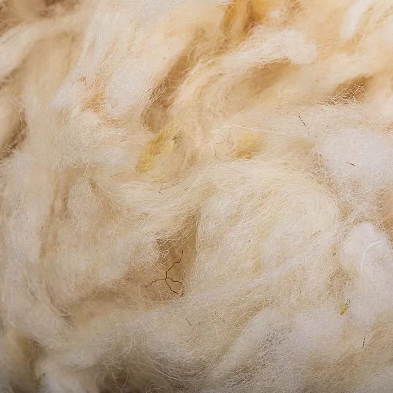 Laine de mouton en vrac - 1kg