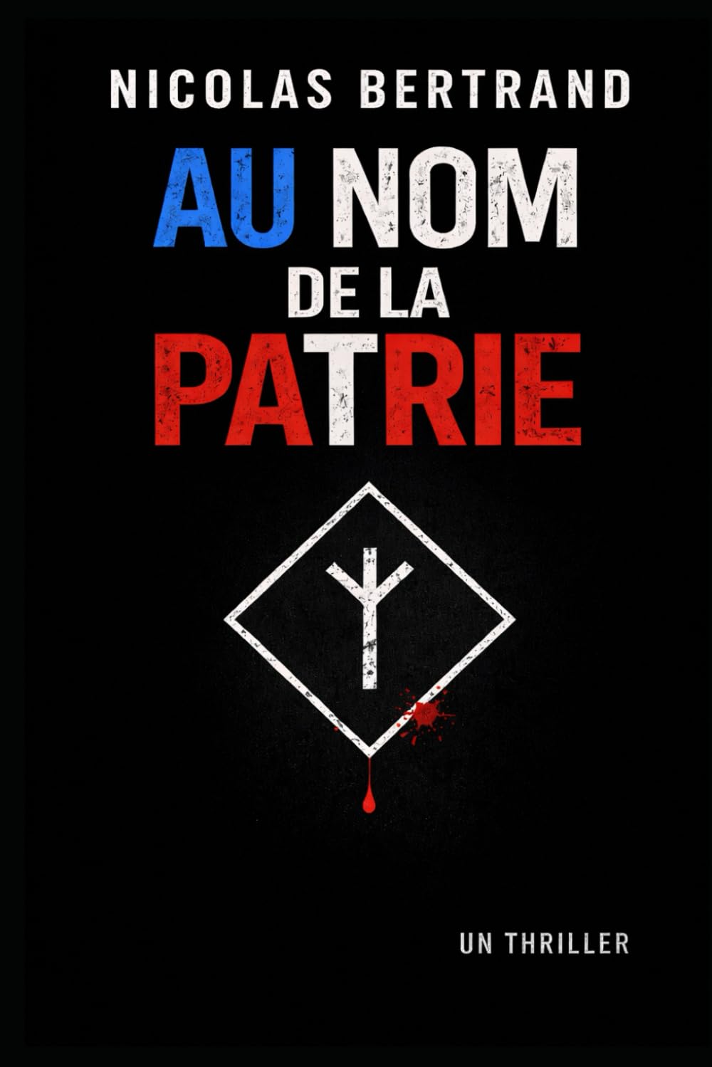 Au nom de la patrie (Les enquêtes de Léo Bernard)
