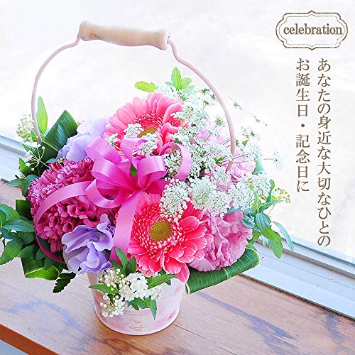 Amazon Co Jp 花工房エーデルワイス