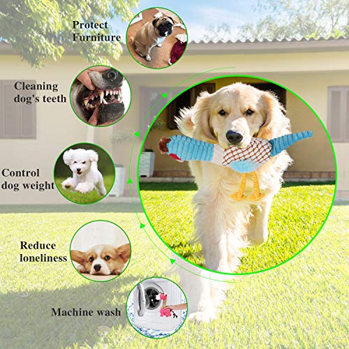 Giocattoli per cani Squeaky Set per cani