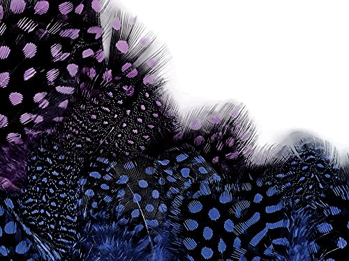 Moonlight Feather | 1 Yard - Navy Blue Guinea Hen Plumage Feather Trim Wholesale Supplier Costume, Craft, Halloween Feathers #TOP3