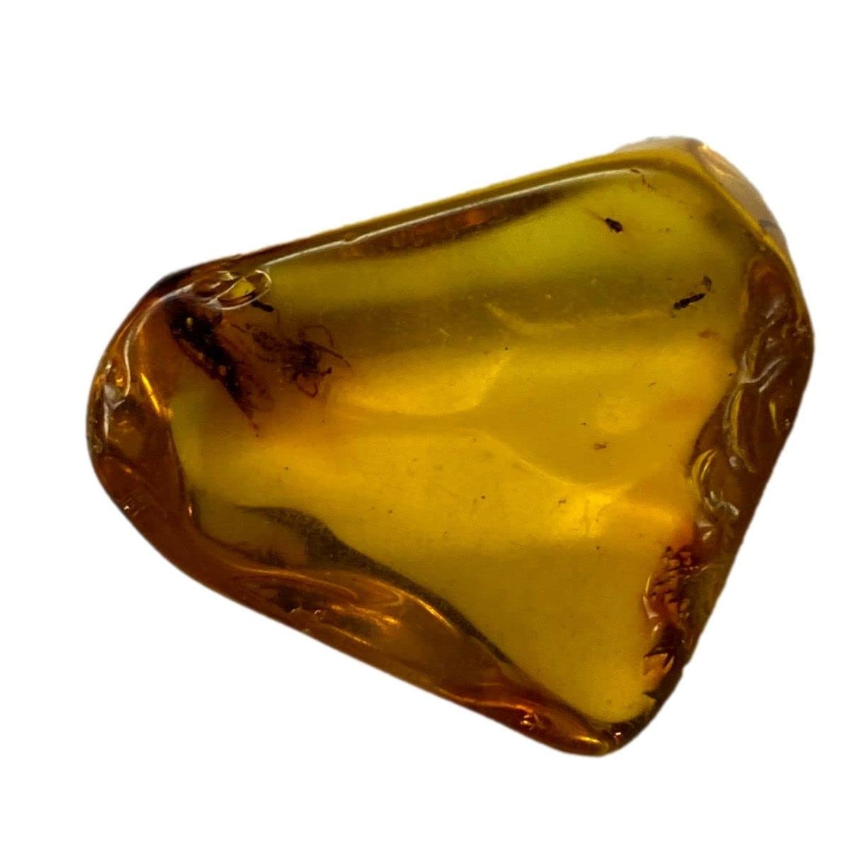 Genuine Fossil Amber Specimen with Insect Inclusions - 7/8" x 3/4" - #20 - Gift Packaged
