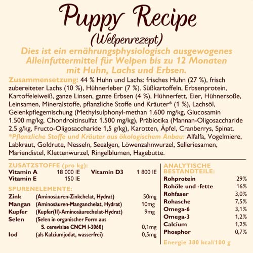 Lily's Kitchen Mit natürlichen Zutaten hergestellt Trockenfutter für Welpen, Lachs & Erbsen Getreidefreie Rezeptur 2.5kg Beutel