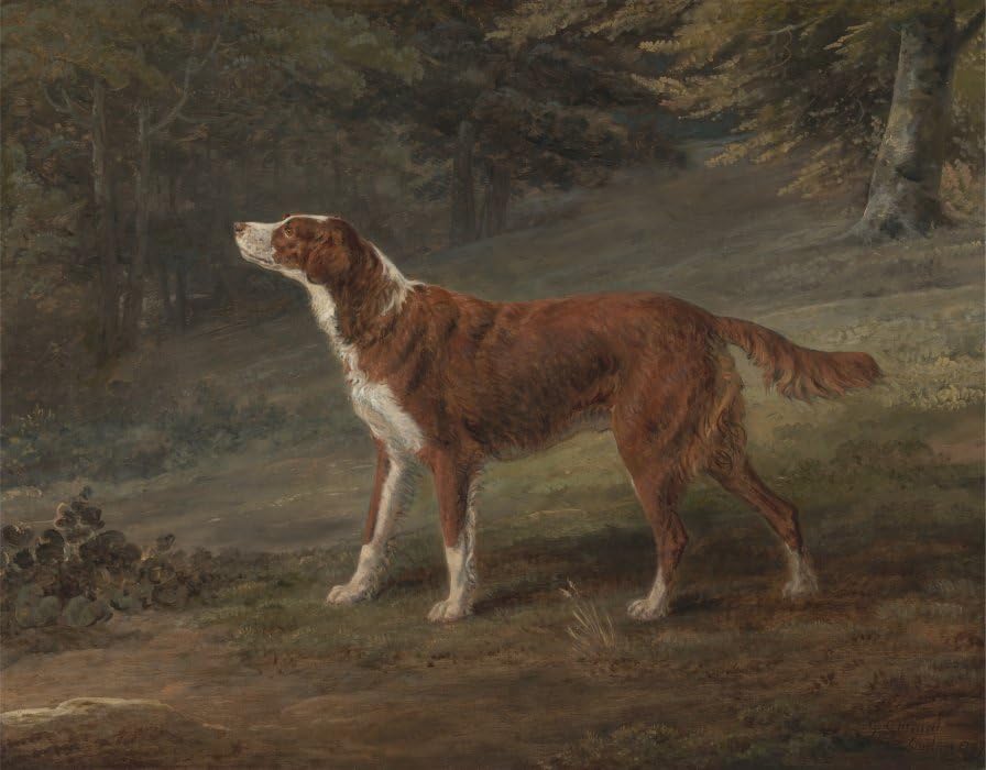 Impression Prints Toile Peinture Murale Ranger un Setter George Garrard 60x90cm