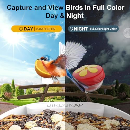 birdsnapÂŽ PAV- Bird Feeder with Camera Solar Powered, 64GB Card & 2K HD Record Video Bird Camera Live with 5 DIY Add-ons, AI Identify Auto Capture, Ideal Gift for Birds Lover - 3
