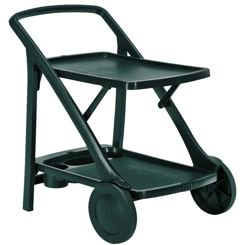 BAKAJI Carrello Cucina Portavivande Esterno Giardino Pieghevole Resina Dura 2 Ripiani Portabottiglie Verde