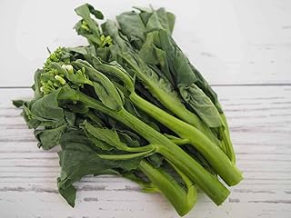 Chinese Broccoli - Wan Shen Kailaan (Brassica oleracea VAR alboglabra) 500mg Seeds for Planting, Chinese Cuisine, Brassica...