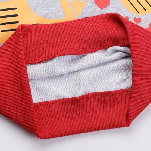 Image of Akyzic Toddler Boys Sweatshirts Cotton Crewneck Truck Shirt Dinosaur Long Sleeve Pullover Tops Tees 2-8T