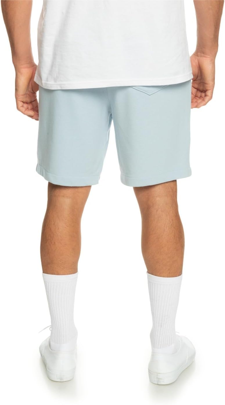 Quiksilver Essentials Men's Shorts