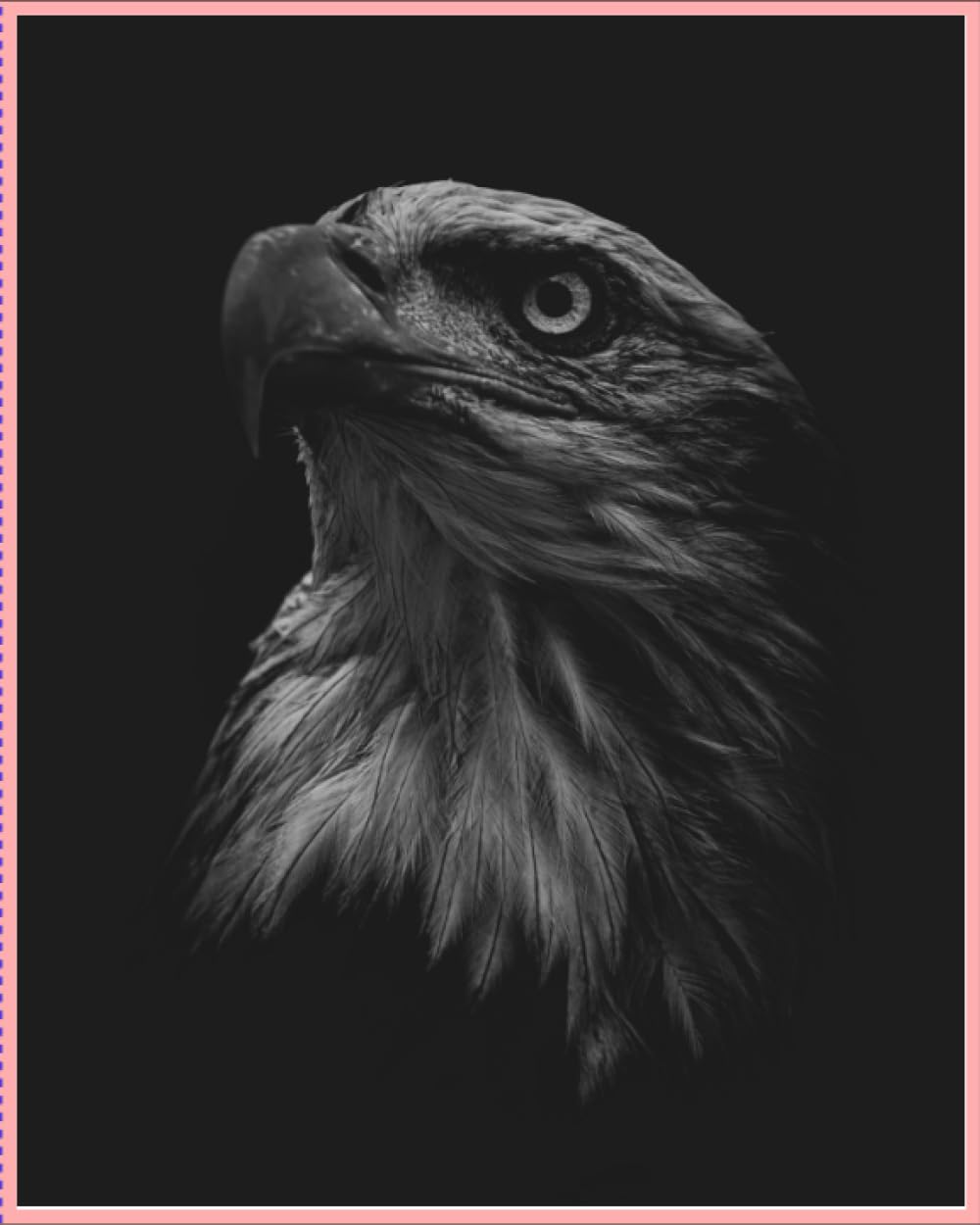 NOTES/REMINDERS/PASSWORDS: DAILY REMINDERS AND/OR NOTES