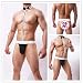 JFAN Hombre Sexy Pantalones Ropa Interior Hombre Sexy Corbata de Lazo Calzoncillos...