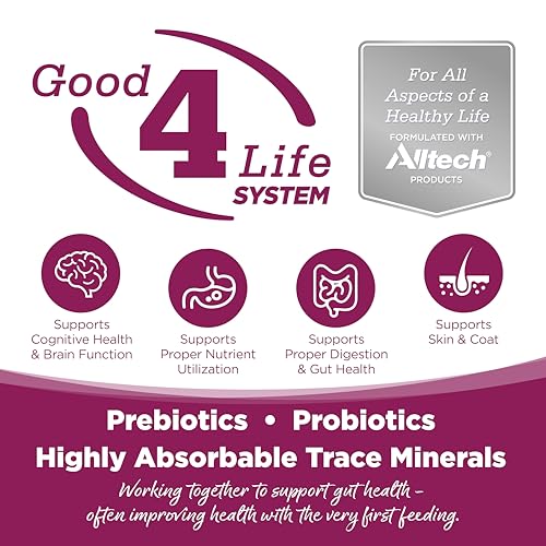 NutriSource Cat & Kitten Food, Chicken & Rice, 12LB - Image 4