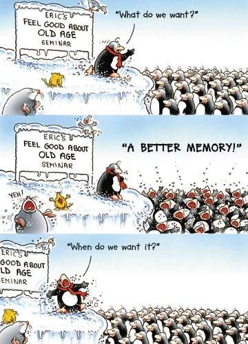 Greeting Card (PH4365) Humour Birthday - Better Memory - Eric the Penguin