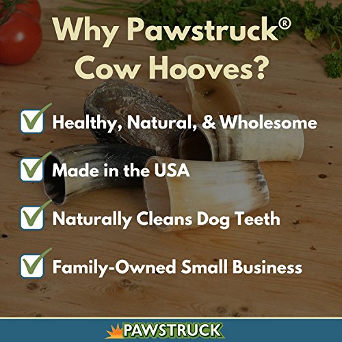 Natural Cow Hooves For Dogs (10 Pack) - Made In The Usa Bulk Dog Dental Treats & Dog Chews Beef Hoof, American Made #TOP1