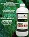 Organic Kelp Fertilizer by GS Plant Foods - Omri Certified (1 Quart) - Kelp Fertilizer for Gardens, Lawns & Soil