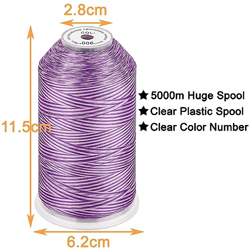 Image of New brothread - Single Huge Spool 5000M Each Polyester Embroidery Machine Thread 40WT for Commercial and Domestic Machines - Variegated Color-V-006