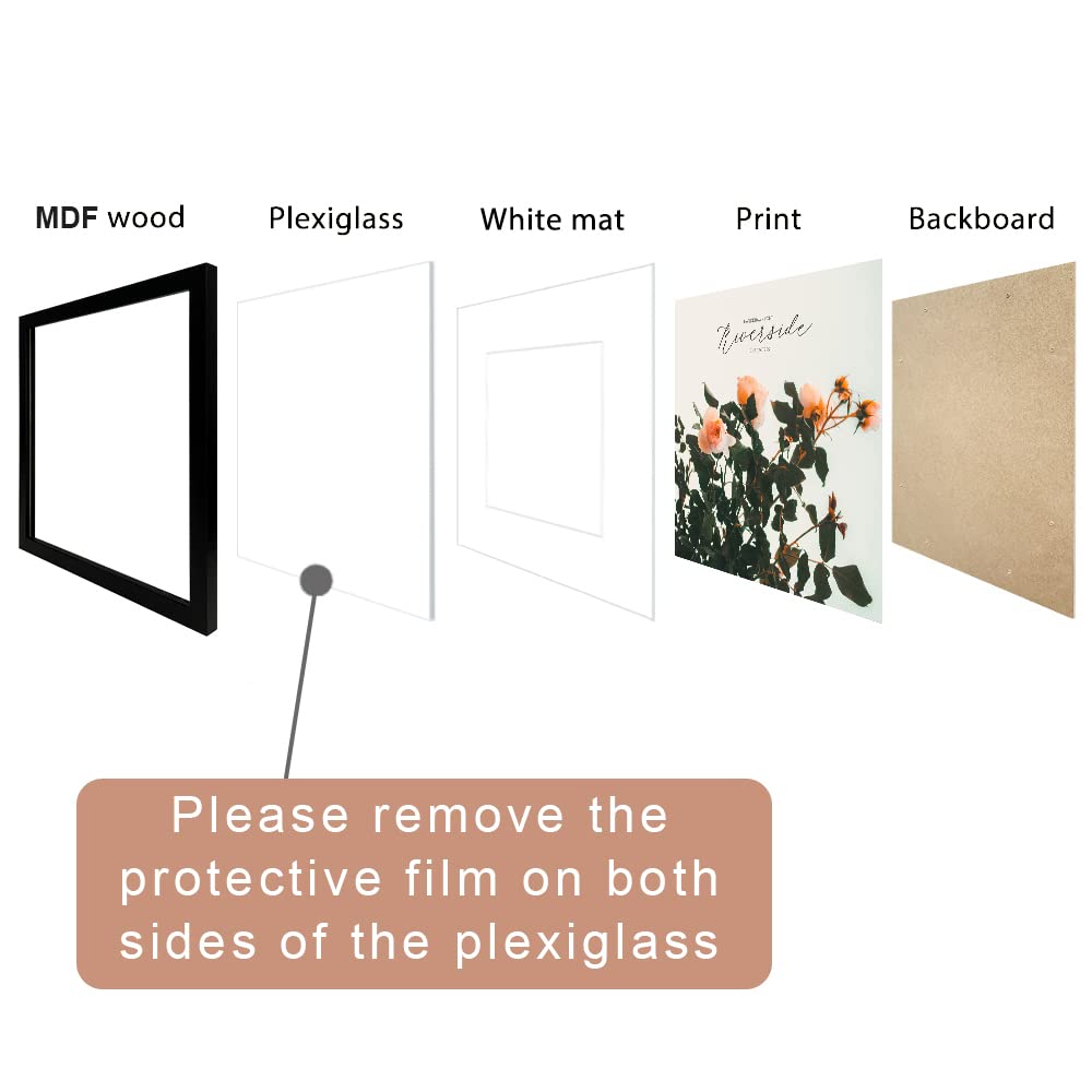 https://m.media-amazon.com/images/I/51FS7eAdydL.jpg
