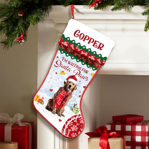 Love Signal Personalized Golden Retriever Scarf & Stockings, Custom Dog,