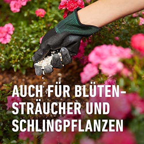 COMPO Rosen Langzeit-Dünger 2 kg, 6 Monate Wirkung, Rosendünger – Ansicht 4