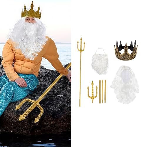 Costume de roi médiéval avec barbe postiche et accessoires de carnaval