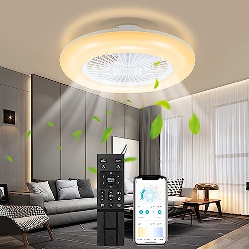 Hebitod 80 W Ventilatore da soffitto con luce e telecomando, LED Ventilatore da soffitto con illuminazione, 6 velocità di vento, temperatura di colore regolabile, tempismo, modalità estate inverno,