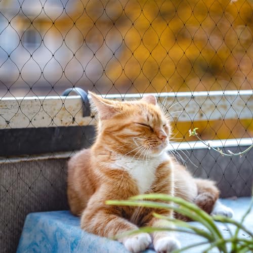 Miniatura 7 de Ticikim Red Para Gatos 9 X 3 M Red Protección Para Gatos Terraza Red De Seguridad, Incluye Set De Fijación, Redes De Balcón Para Gatos Para Balcones Ventanas Tragaluces Y Puertas, Color Negro